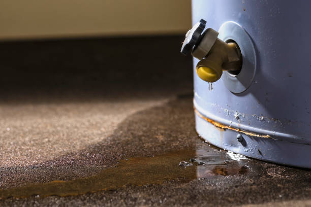 Best Water damage contractors near me  in Ashford, AL