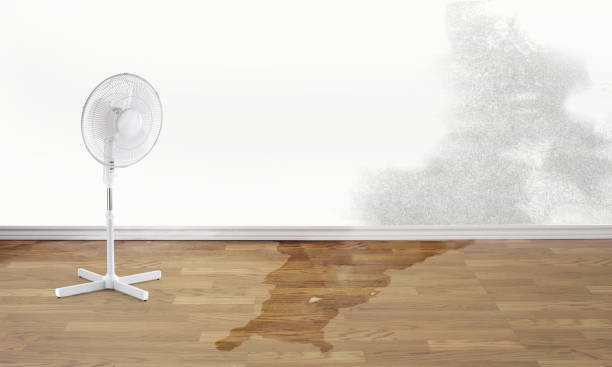 Best Commercial water damage restoration  in Ashford, AL