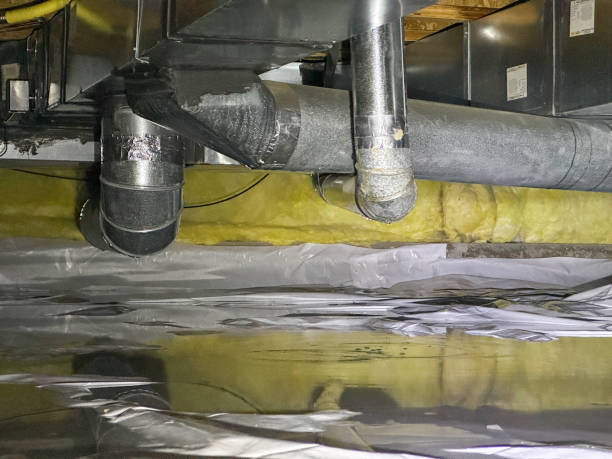 Best Mold removal after water damage  in Ashford, AL
