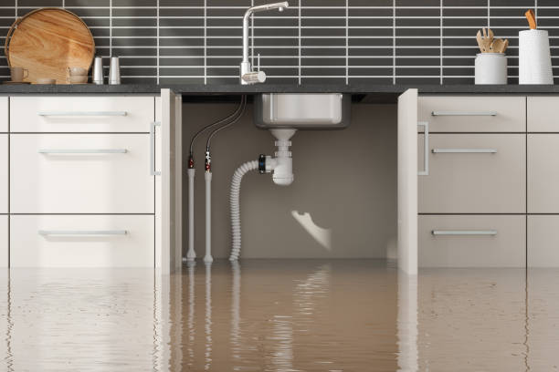 Best Basement water damage restoration  in Ashford, AL