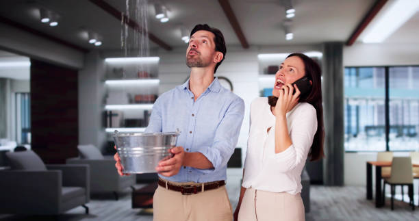 Best Water damage contractors near me  in Ashford, AL