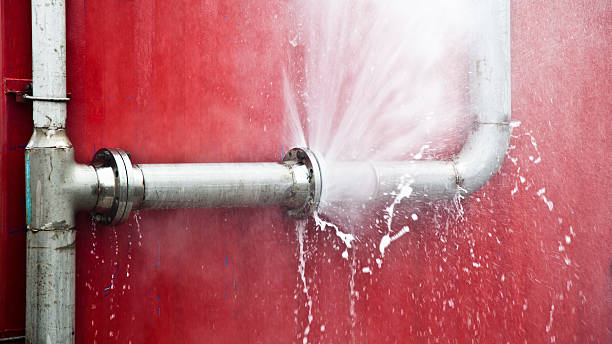 Best Water damage cleanup near me  in Ashford, AL